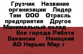 Грузчик › Название организации ­ Лидер Тим, ООО › Отрасль предприятия ­ Другое › Минимальный оклад ­ 17 000 - Все города Работа » Вакансии   . Ненецкий АО,Нарьян-Мар г.